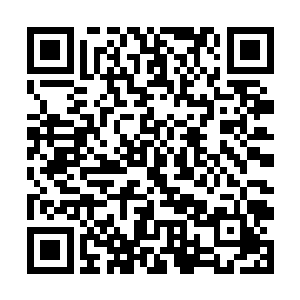 好在他们的神经也早已经经过了秦方多少次的刺激了二维码生成