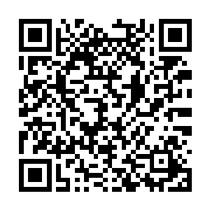 好在他终于在最后一秒冲出乌家堡少爷的视线之内二维码生成