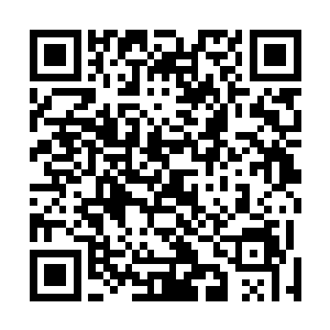 好在何书蔓之前看过一些关于怀孕和生了孩子之后的书籍二维码生成