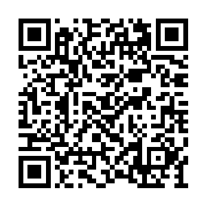 好在像之前遇到的炼虚后期邪修使没有再碰到过二维码生成