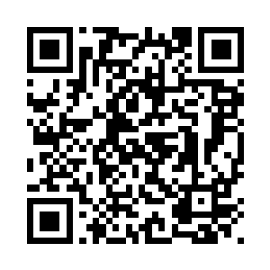 好在夭华也没准备在这岛上留太久二维码生成