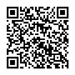 好在季疏云有一只奇奇怪怪的大金雕和鹰中之王海东青二维码生成