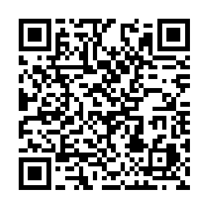 好在就是打排球这个玩意需要一个比较标准的场地二维码生成