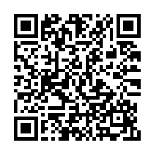 好在晏惠卿一直警惕着沈苍苍手里小白蛇的动静二维码生成