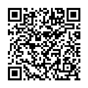 好在杨戬现在的修为已经突破到了合体初期顶峰二维码生成