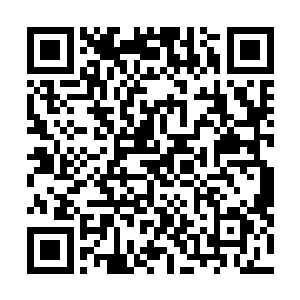 好在梁小姐和苏洛的经济人很快的明白了流年等人的心思二维码生成
