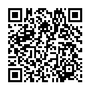 好在民盟军的小山炮打击重点是西班牙人的炮兵二维码生成