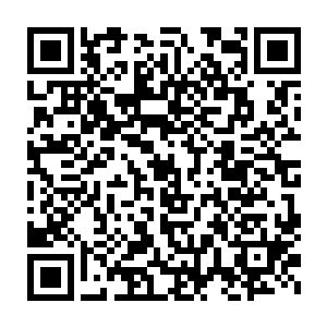 好在疯马和叶莲娜占据的位置是原本这些秘社成员准备伏击他们的地点二维码生成