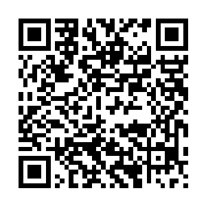 好在许家的弟子在许浩量和许紫烟千叮咛万嘱咐要始终提高警惕二维码生成