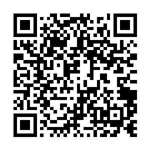 好在谢雨安对于上司的命令向来是不折不扣地执行二维码生成