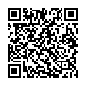 好在身边这八十多艘大舰让他感觉到弟兄们始终都在一起二维码生成