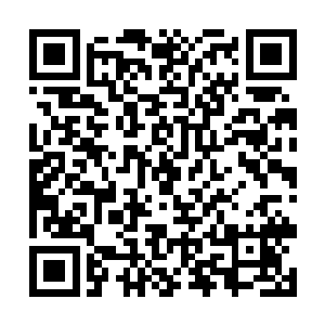 好在这个魔魂不知道因为什么把老本赔了个干干净净二维码生成