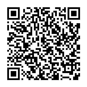 好在这些兽的注意力都在同伴死去的时候转到南宫羽和凤惊华的身上二维码生成