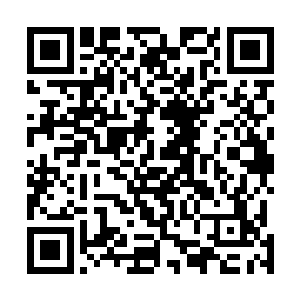 好在这些剑气都被龙傲天刚才的攻击抵消了大半的攻击力二维码生成