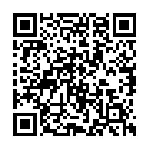 好在这次跟过来的人都是各个部落精心挑选过的二维码生成