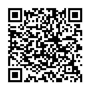 好在长阳府隐居的地方是在人烟稀少的原始山脉中二维码生成