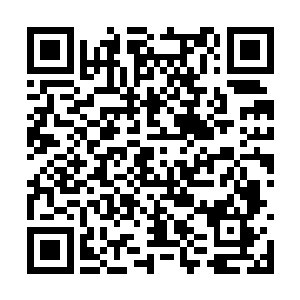 好处是凝聚的分身会是最适合青脉的一种天生道体二维码生成