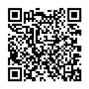 好奇地看着在渐渐融入了她体内的那团绿色的鬼火二维码生成