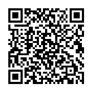 好容易让御花园姹紫嫣红的档次提升了一些他容易吗二维码生成