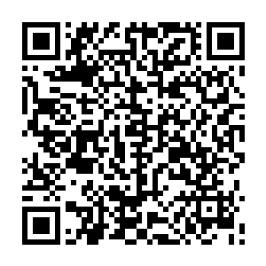 好就让那杨睿老儿震惊一下吧最好我能够把这个杨玲珑杀死在这擂台之上二维码生成
