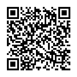 好强大的后宫啊即便在原剧情中说叶枫那啥很厉害二维码生成