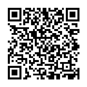 好心的店主大姐就把这些蛋糕的边角料也一起卖给他们了二维码生成
