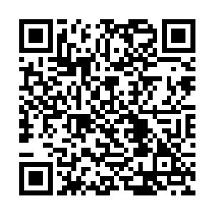 好整以暇地看着她有些沉醉并且主动探出小舌的模样二维码生成