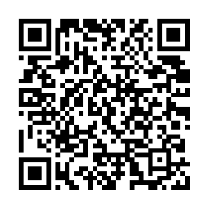 好整以暇地看着窗外水池旁手忙脚乱的万里有爱二维码生成
