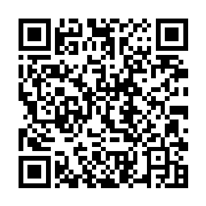 好歹蛇王的杀手训练还算不错……孟奇默默道了一句二维码生成