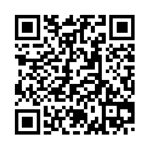 好莱坞未签婚前协议的明星逐个数二维码生成