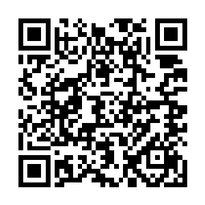 好让自己得知木洛究竟是为了什么才想要杀自己的罢了二维码生成
