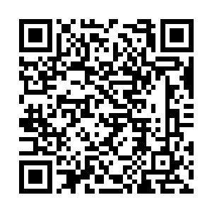 如一只巨大的网罩向在夜空中掠飞的千夜和姬天晴二维码生成