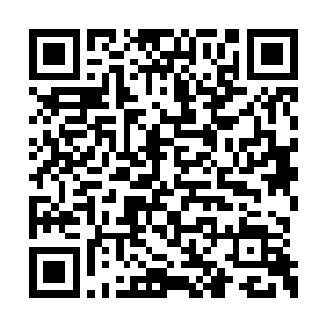 如一群归巢的飞鸟一样闪电一样射入张铁的眉心二维码生成