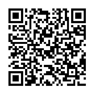 如临大敌的摸样让年轻人嘴角露出一抹极淡的讽刺笑容二维码生成