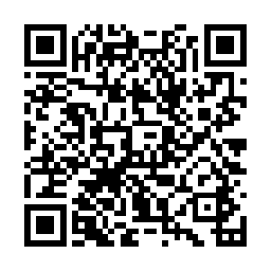 如今不管是藤原氏还是源氏都已经将贵军视作敌人二维码生成
