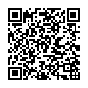 如今东方幽身边跟着的这些人都是从前苍茫山的下属二维码生成