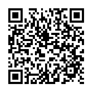 如今仅仅还有这不到六百米的城墙孤零零的处理在风中二维码生成