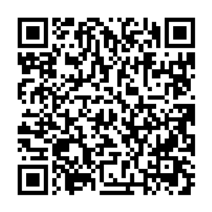 如今从沉睡中醒来的混沌兽和域外天魔应该是当初侵入仙诀的九牛一毛二维码生成
