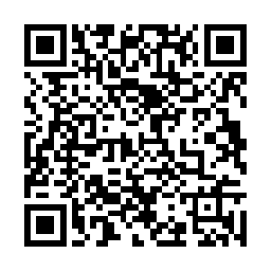 如今他们三家的仙君数量也达到了大约五十位左右二维码生成