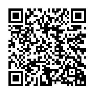 如今他们又如何能够轻易的饶过这些当年害的整个妖族衰败的二维码生成
