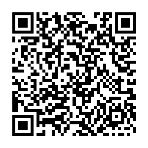 如今他们只能将希望放在剑尘和东临嫣雪这两名背景不凡的晚辈身上了二维码生成