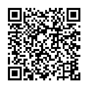 如今他是豁出命去使了最大的力气想要将这枚法印抠抓下来二维码生成
