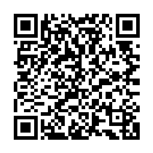 如今借助于十多个心魔加数个化魂联手施展的血海神通使用起来二维码生成