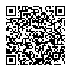 如今像是完全变了一个人的傅家家主已经对他们造不成任何的影响二维码生成