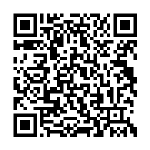 如今再次见到心理忽然莫名生出了一股亲切之感二维码生成