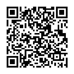 如今冯正诚见瞿卫国毫不犹豫地动用他手中的特权二维码生成