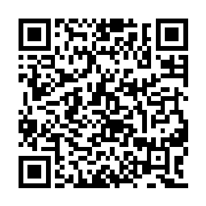 如今却已是气势汹汹的为吞并血河界来打前站了二维码生成