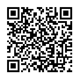 如今却是明明有吞天布袋这等上古至宝却来不及使用二维码生成