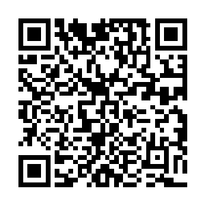 如今却觉得这臭小子简直就是紫晴和曜王爷的腹黑综合体二维码生成