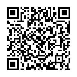 如今又多了一层炽热之力再缓缓进入这片灵海中二维码生成